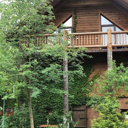 Villa На Галіції Byalobereska Exterior foto