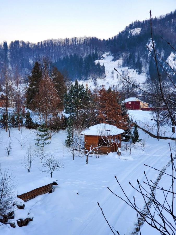 Villa На Галіції Byalobereska Exterior foto